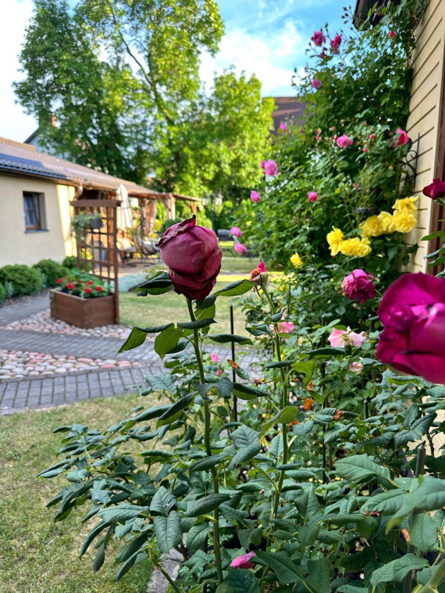Appartamento Anni Ventspils Esterno foto